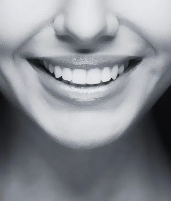 teeth